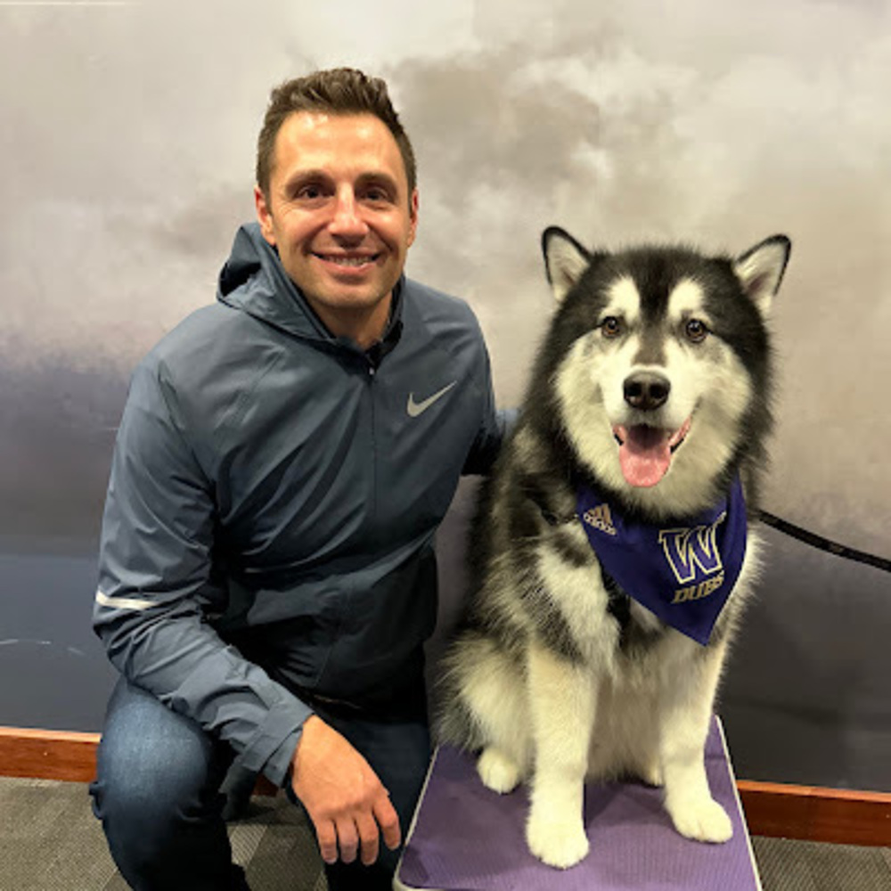 Meet your Posher, Steve